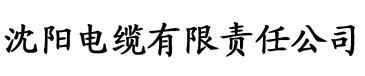 经典千人斩中文官网电缆厂logo